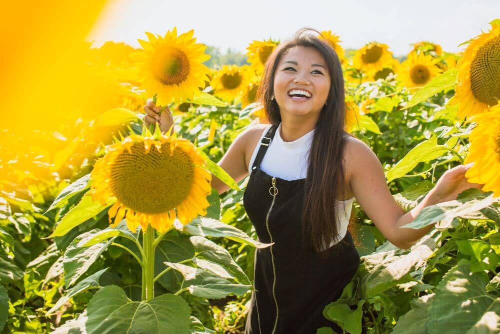 sunflower-field