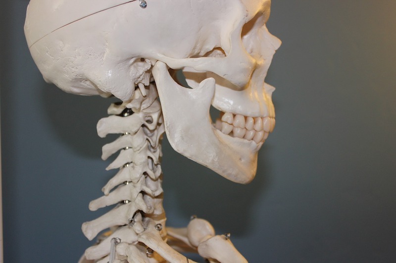 What-are-temporomandibular-joints-Towson-Smile-Care